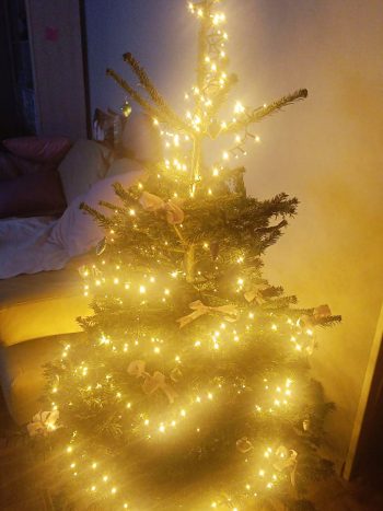 Mein Weihnachtsbaum 2023